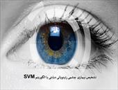پاورپوینت تشخیص بیماری چشمی رتینوپاتی دیابتی با الگوریتم SVM
